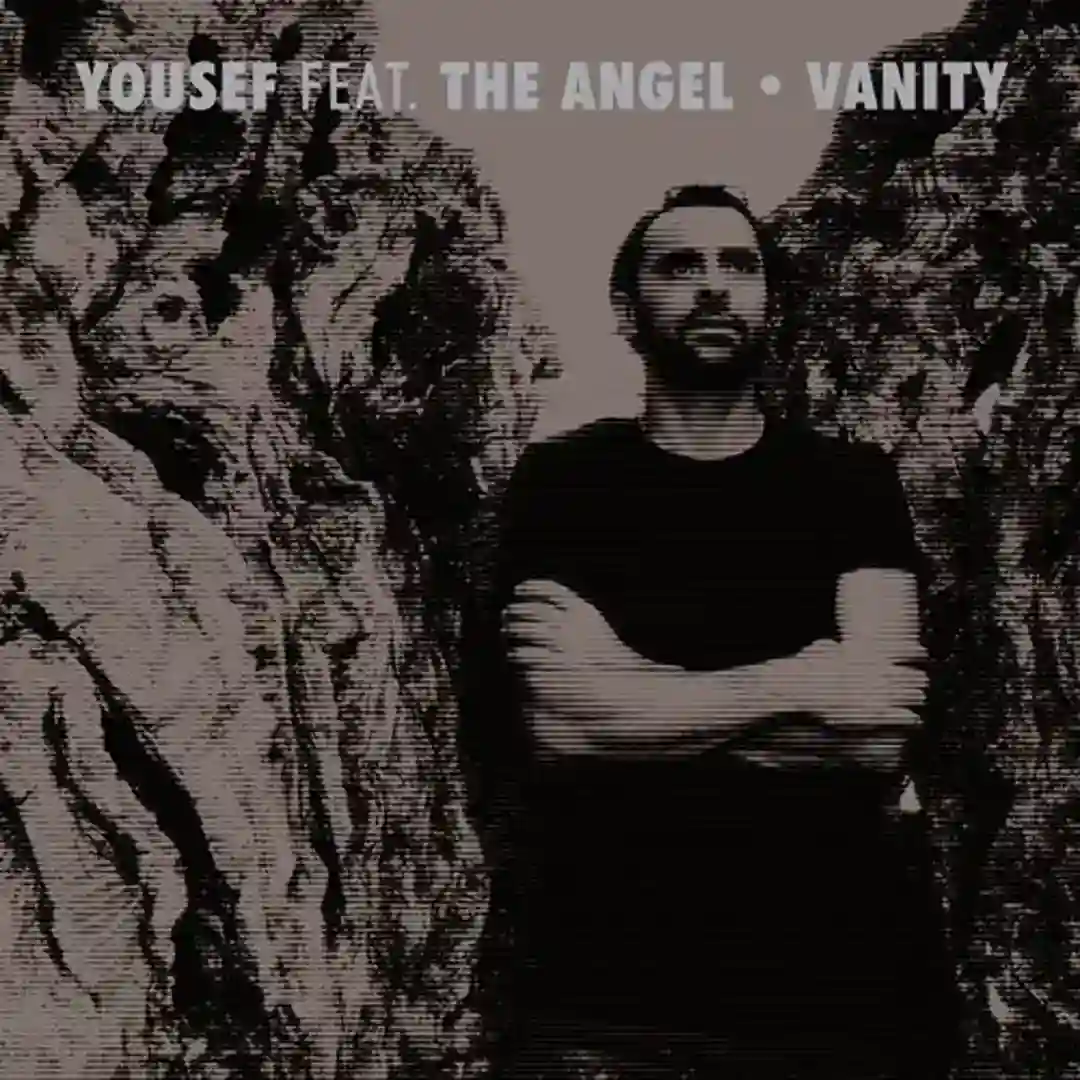 Vanity feat. The Angel (Original Mix) cover