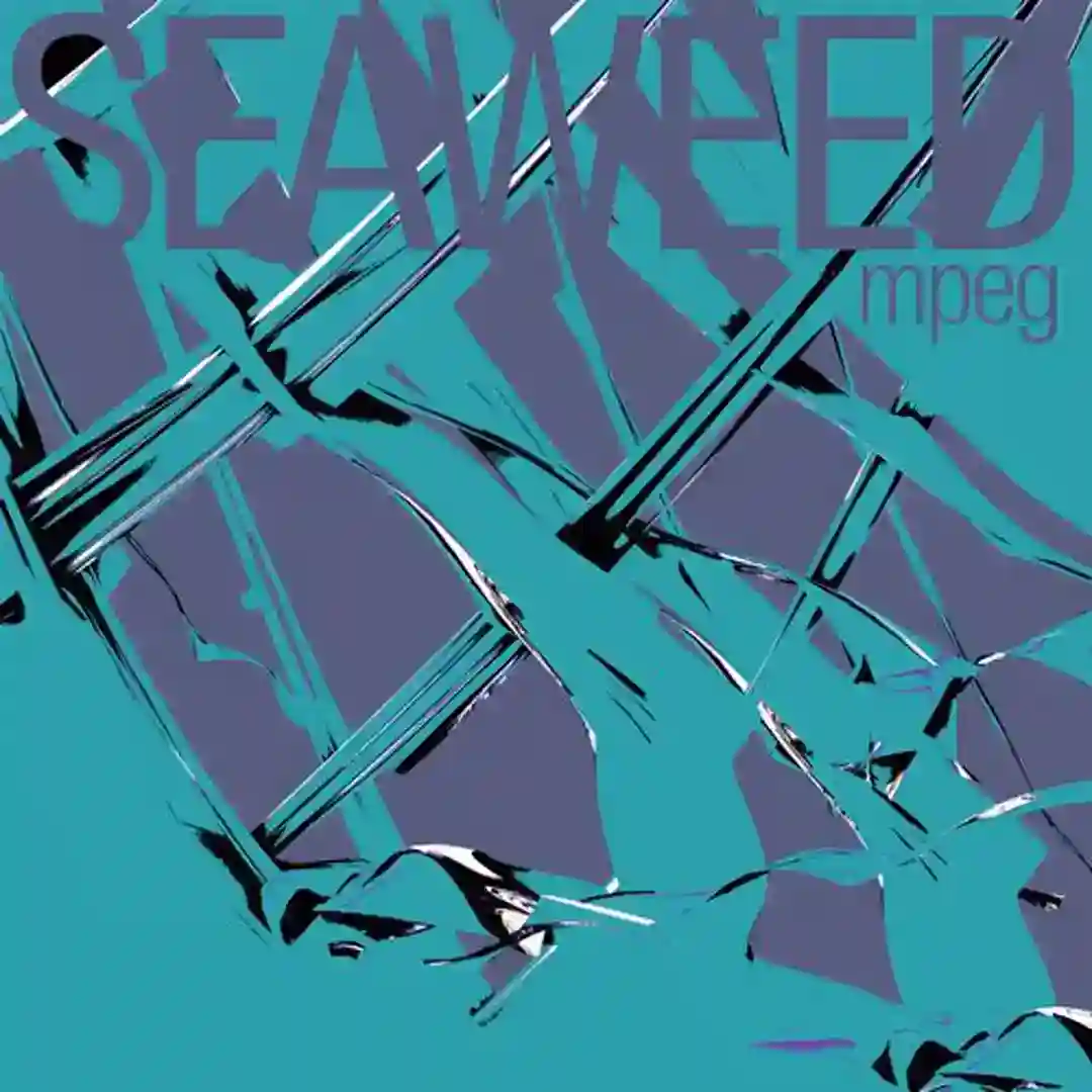Off Disc cover