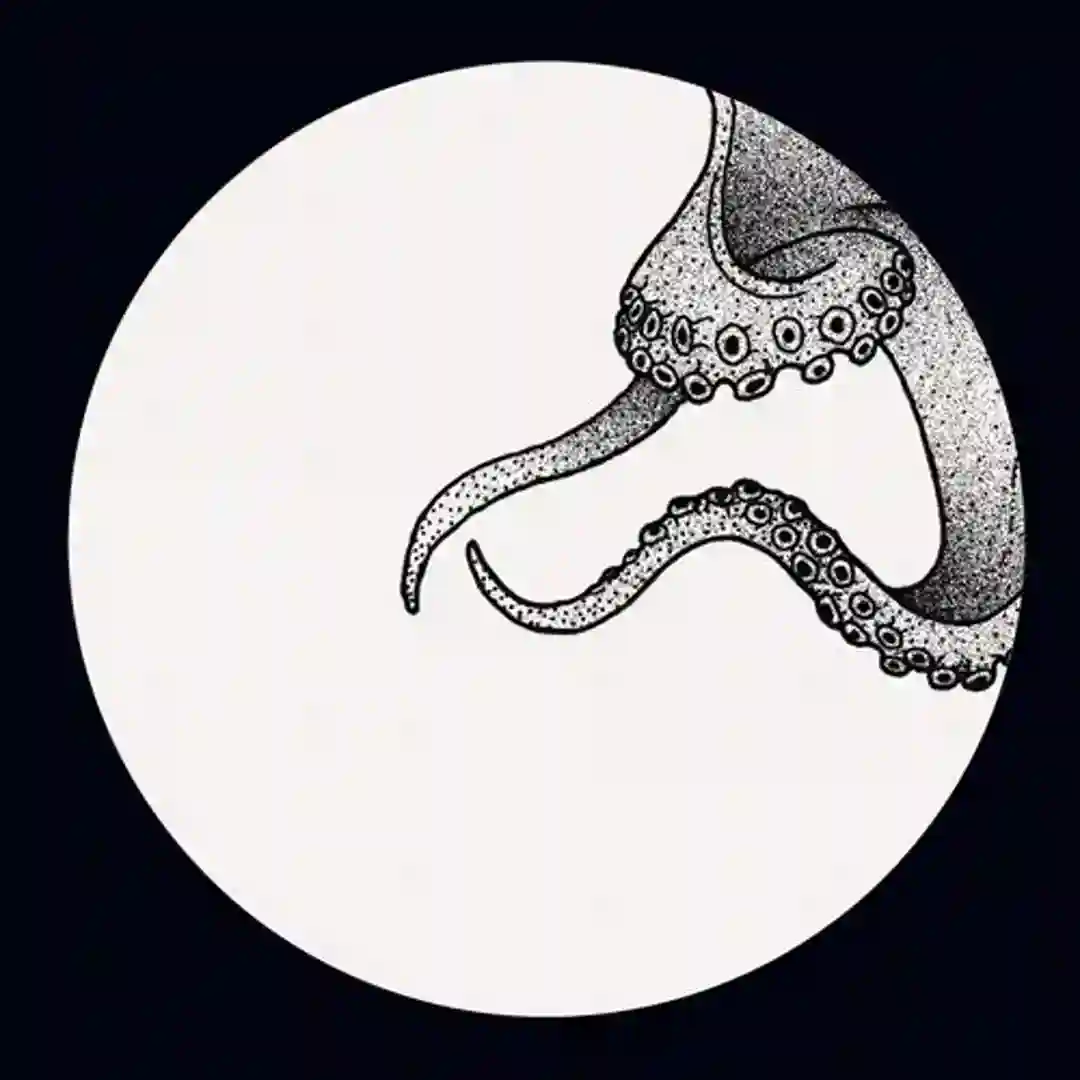Mask (Vaal's Hut Remix) cover