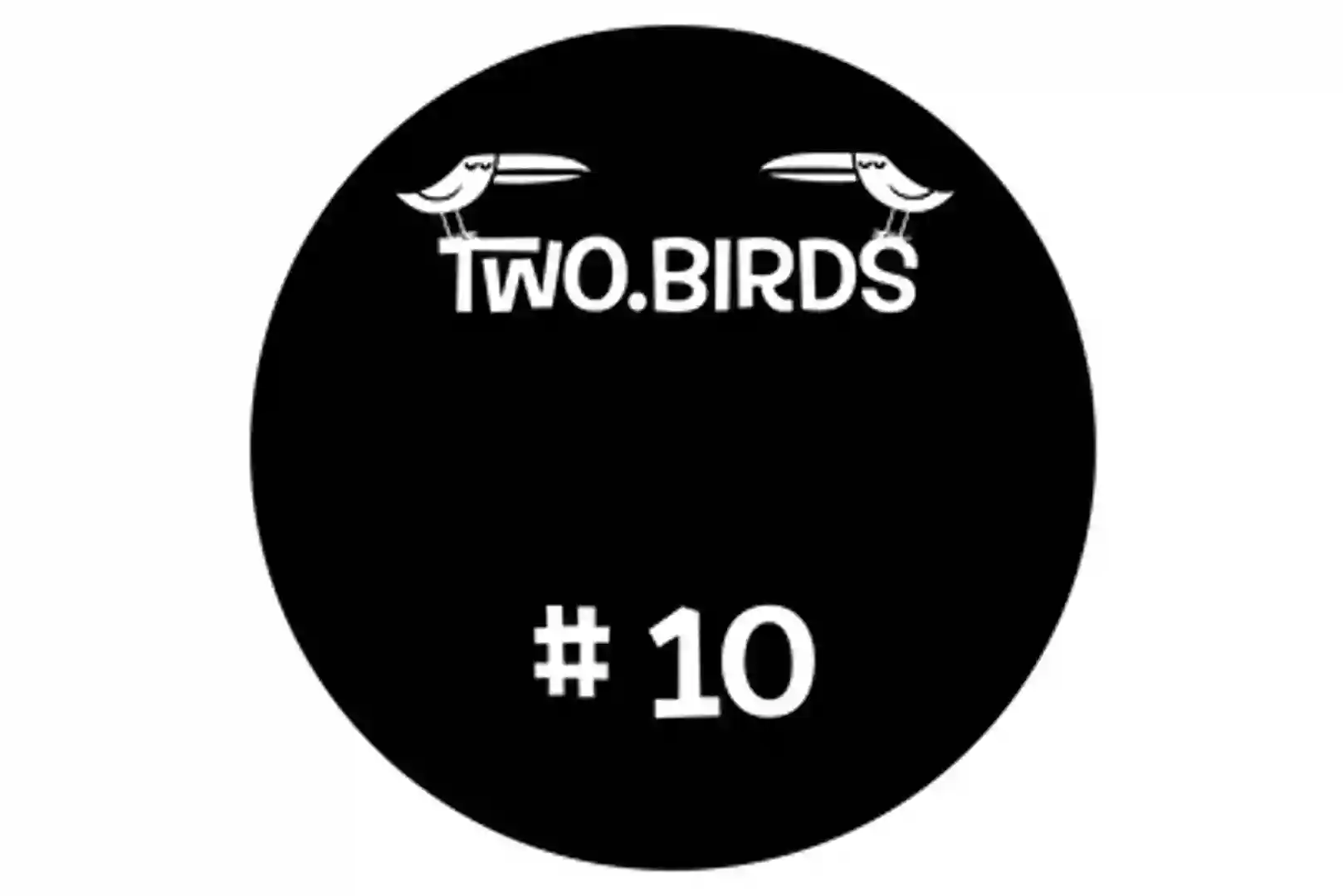 self destruct TWOBIRDS010 cover