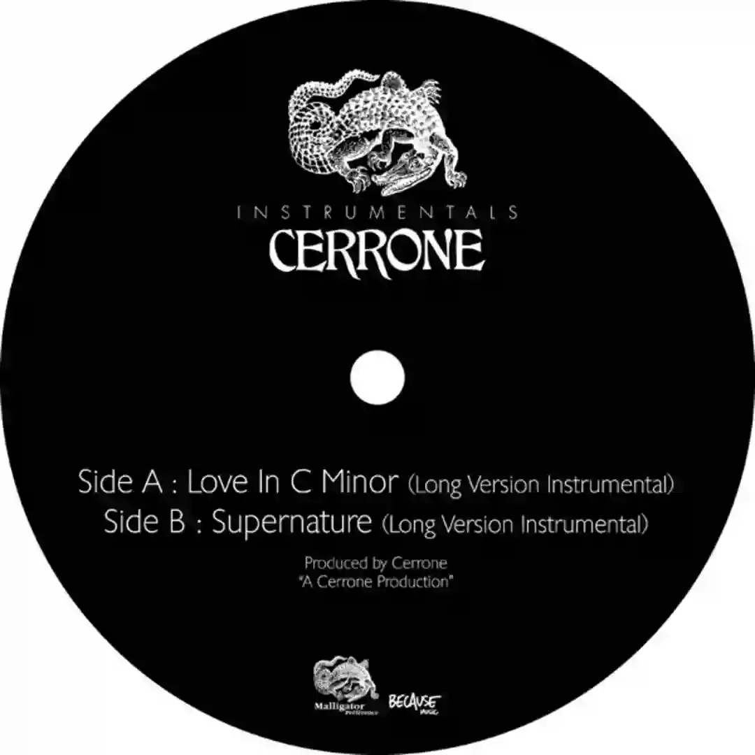 Supernature (Long Version Instrumental) cover