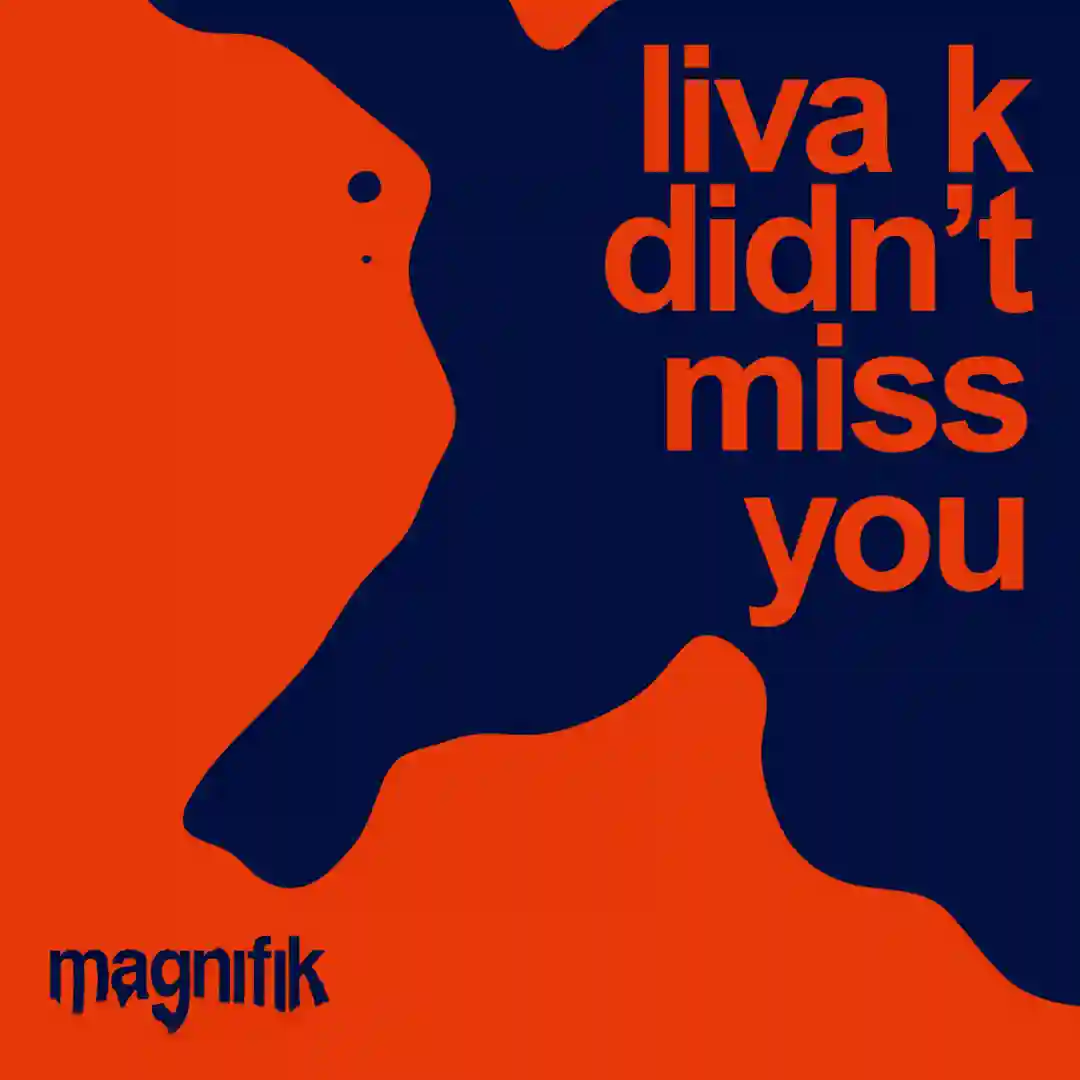 Didn't Miss You (Original Mix) cover