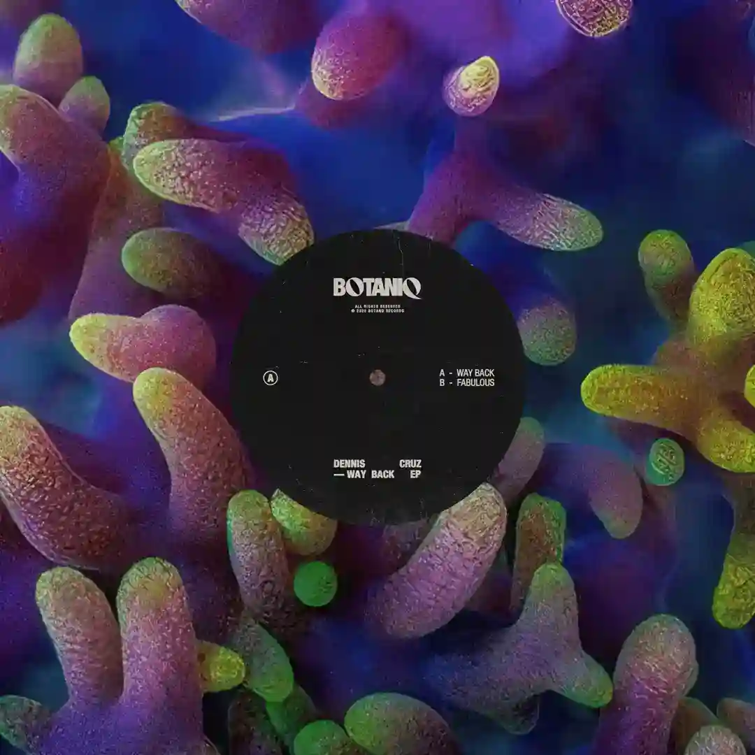 Fabulous (Original Mix) cover