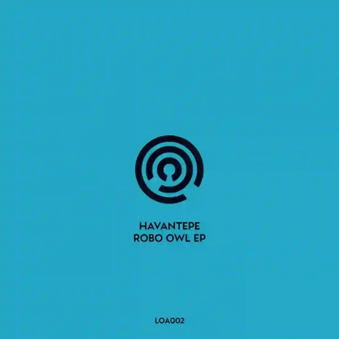 Robosoul cover