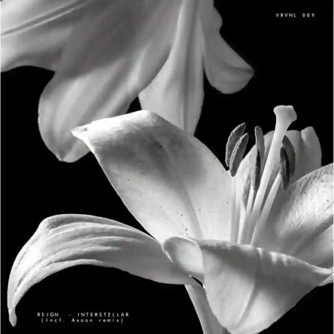 Orbit (Original Mix) cover