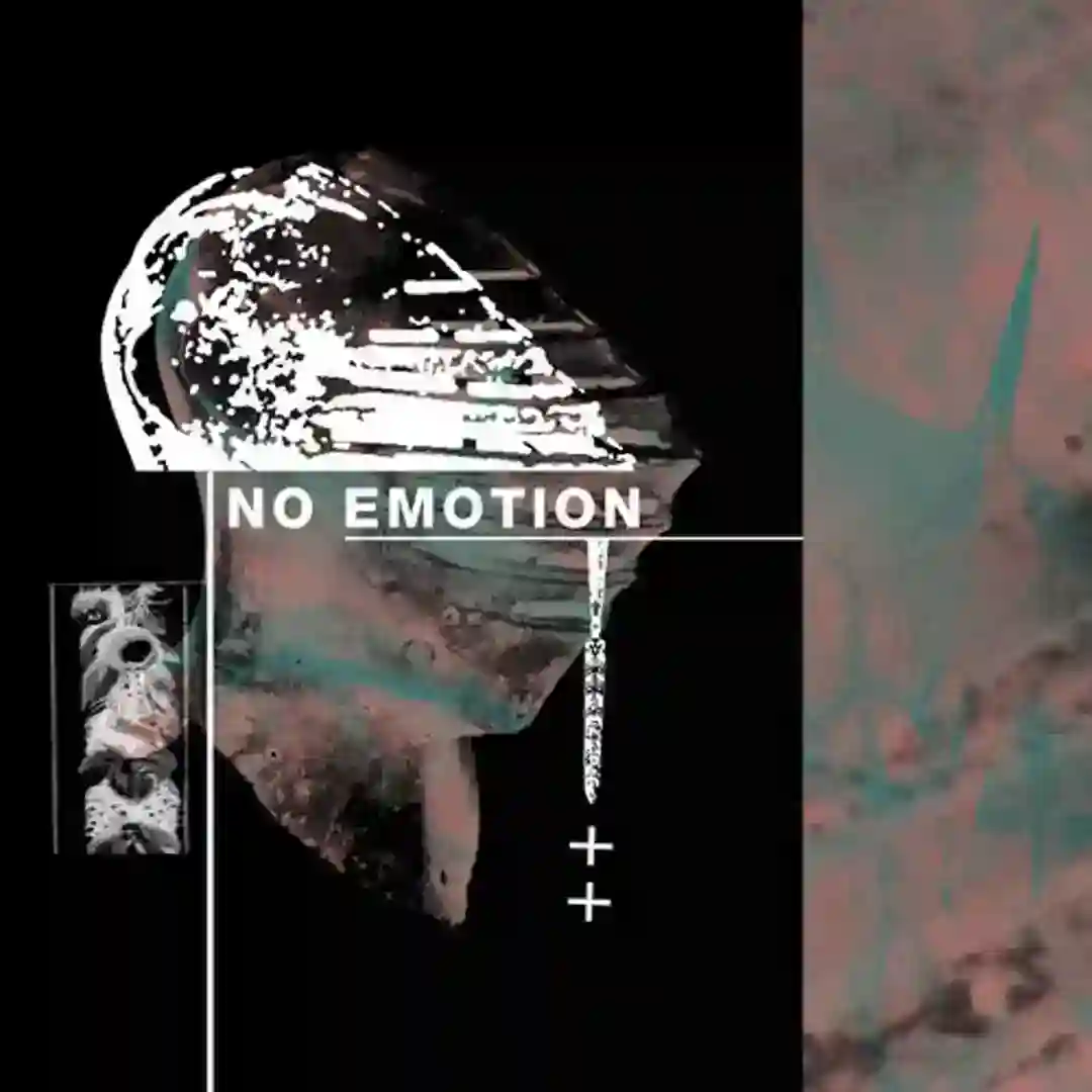 Information Ghettos cover