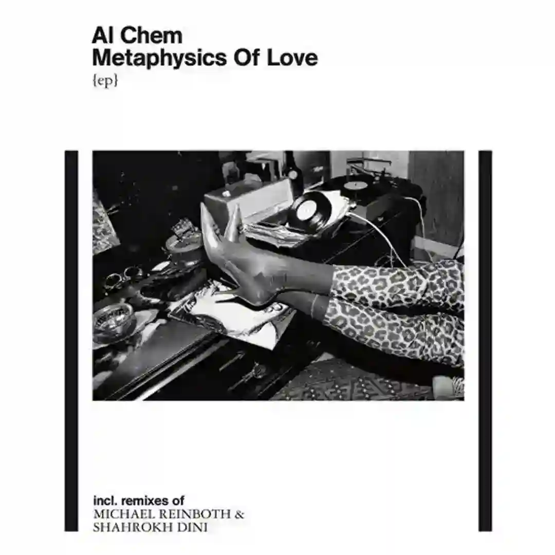 Metaphysics Of Love (Shahrokh Dini Remix) cover