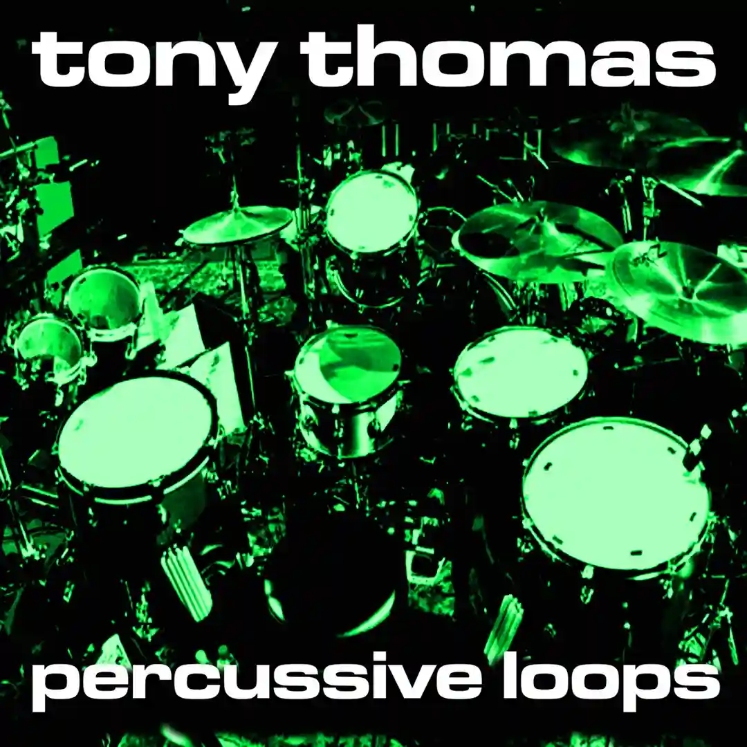 TT Perussive Loop 79 (Original Mix) cover