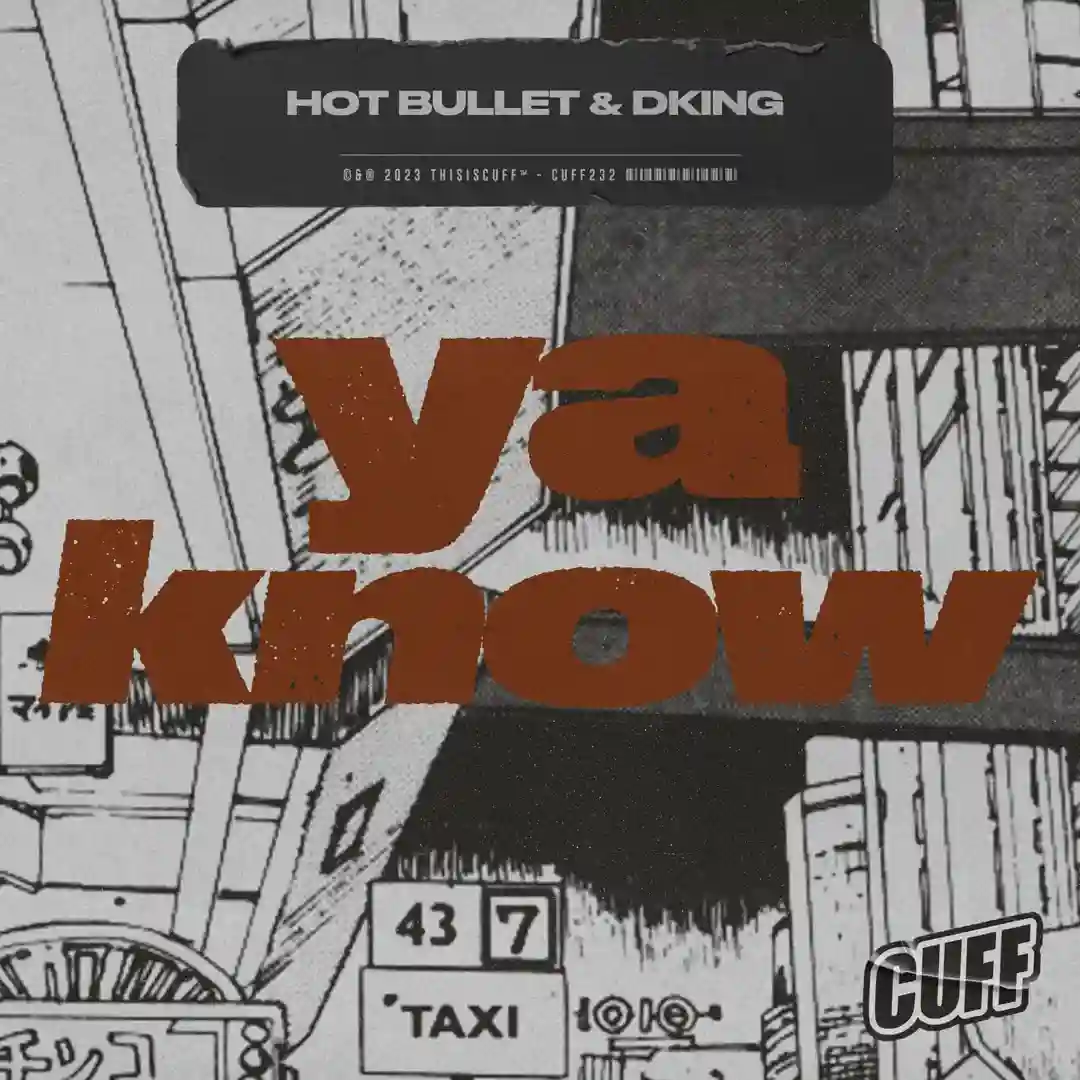 Ya Know (Original Mix) cover