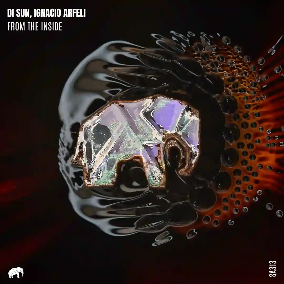 From The Inside (Original Mix) cover