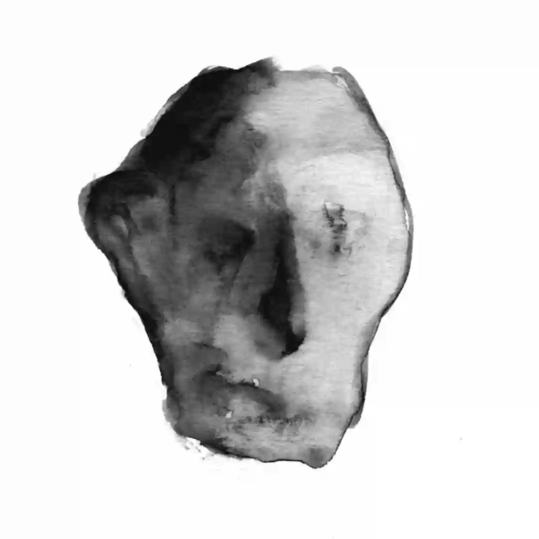 principio di causa (demo) cover