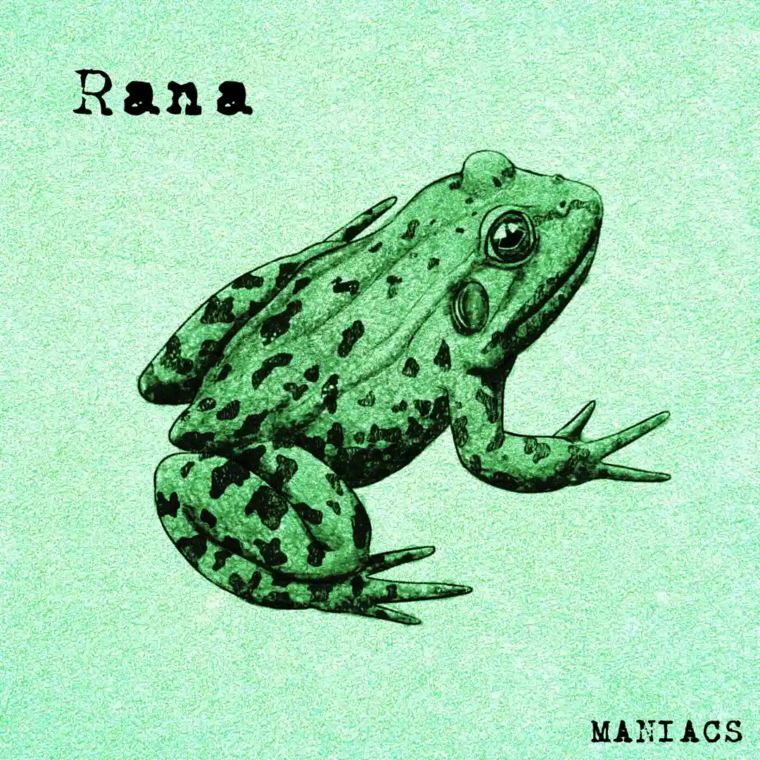 Rana (Andre Salmon & Marc Alex Remix) cover