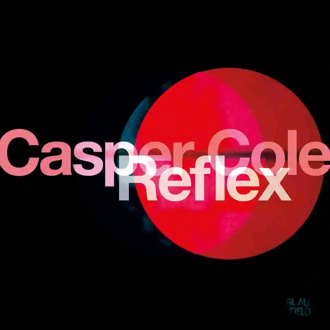 Reflex cover