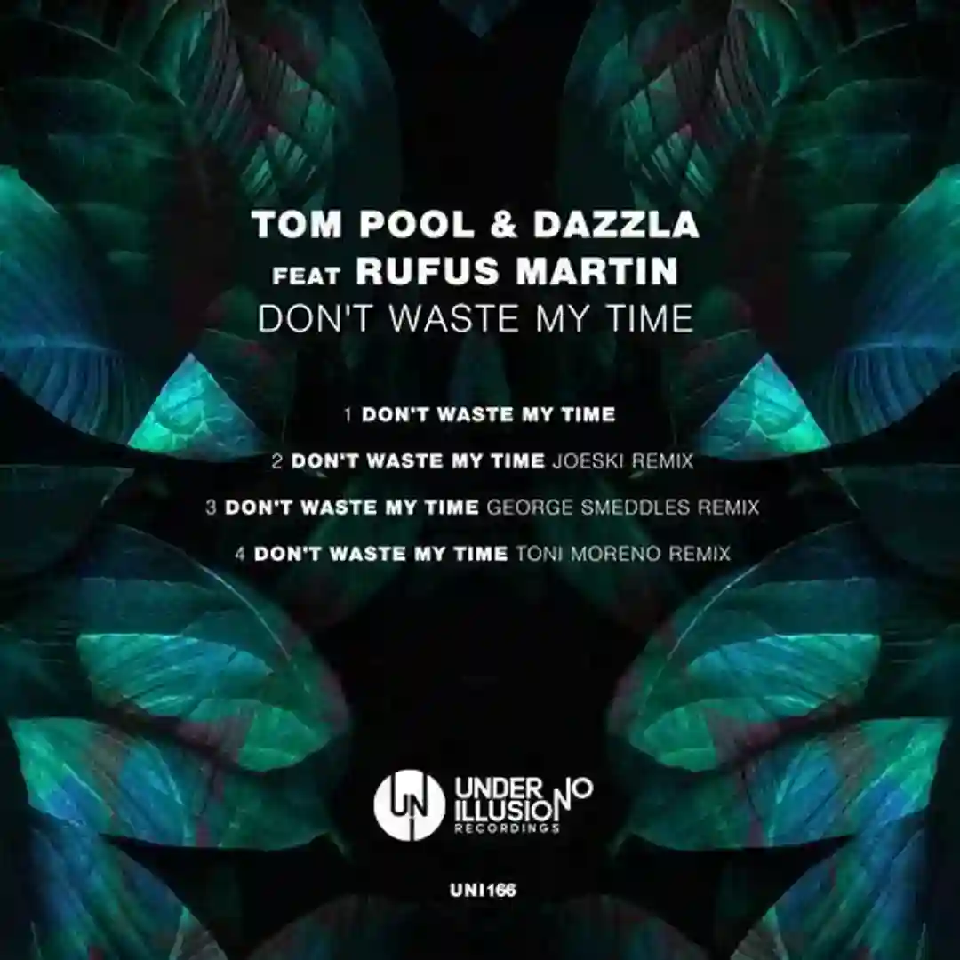 Don't Waste My Time Feat. Rufus Martin (Joeski Remix) cover