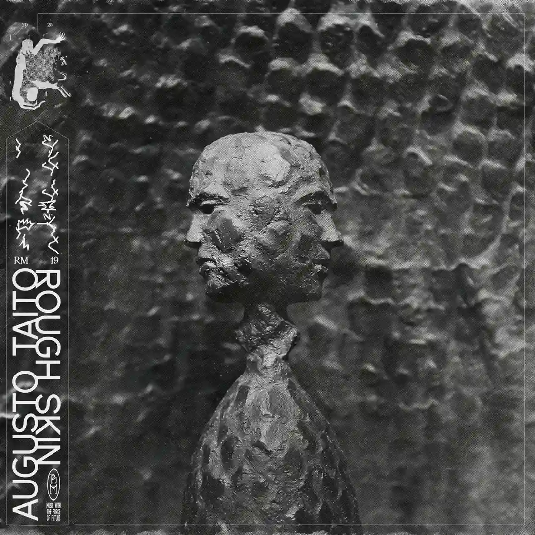 Rough Skin cover