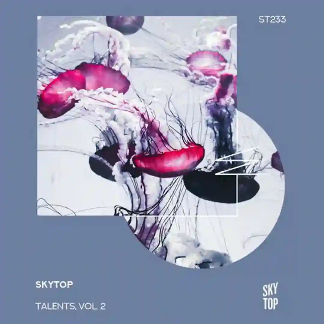 Talents, Vol. 2 cover