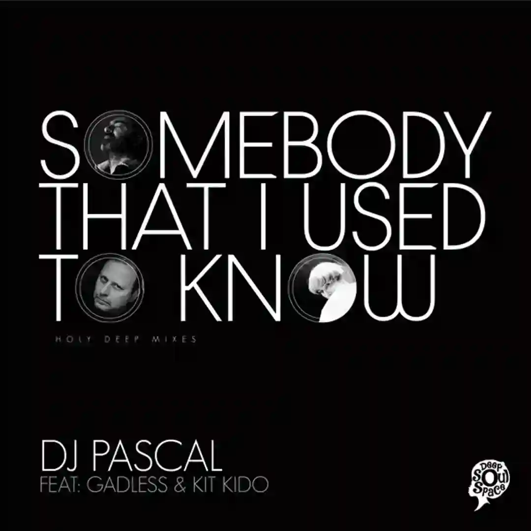 Somebody That I Used to Know (Holy Deep Vocal) cover