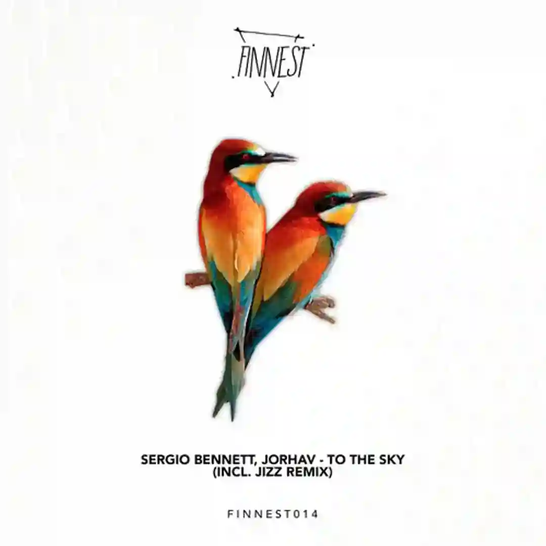 To the Sky (Jizz Remix) cover