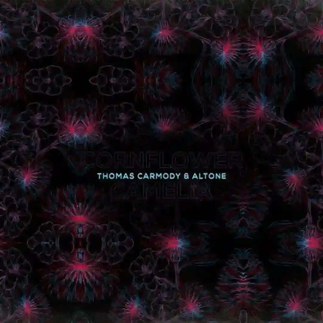 Cornflower and Camellia cover