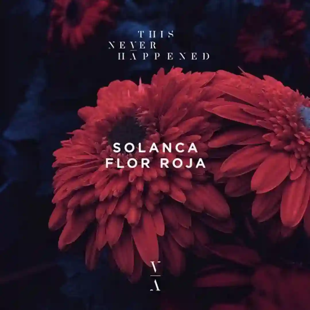 Maranta (Original Mix) cover