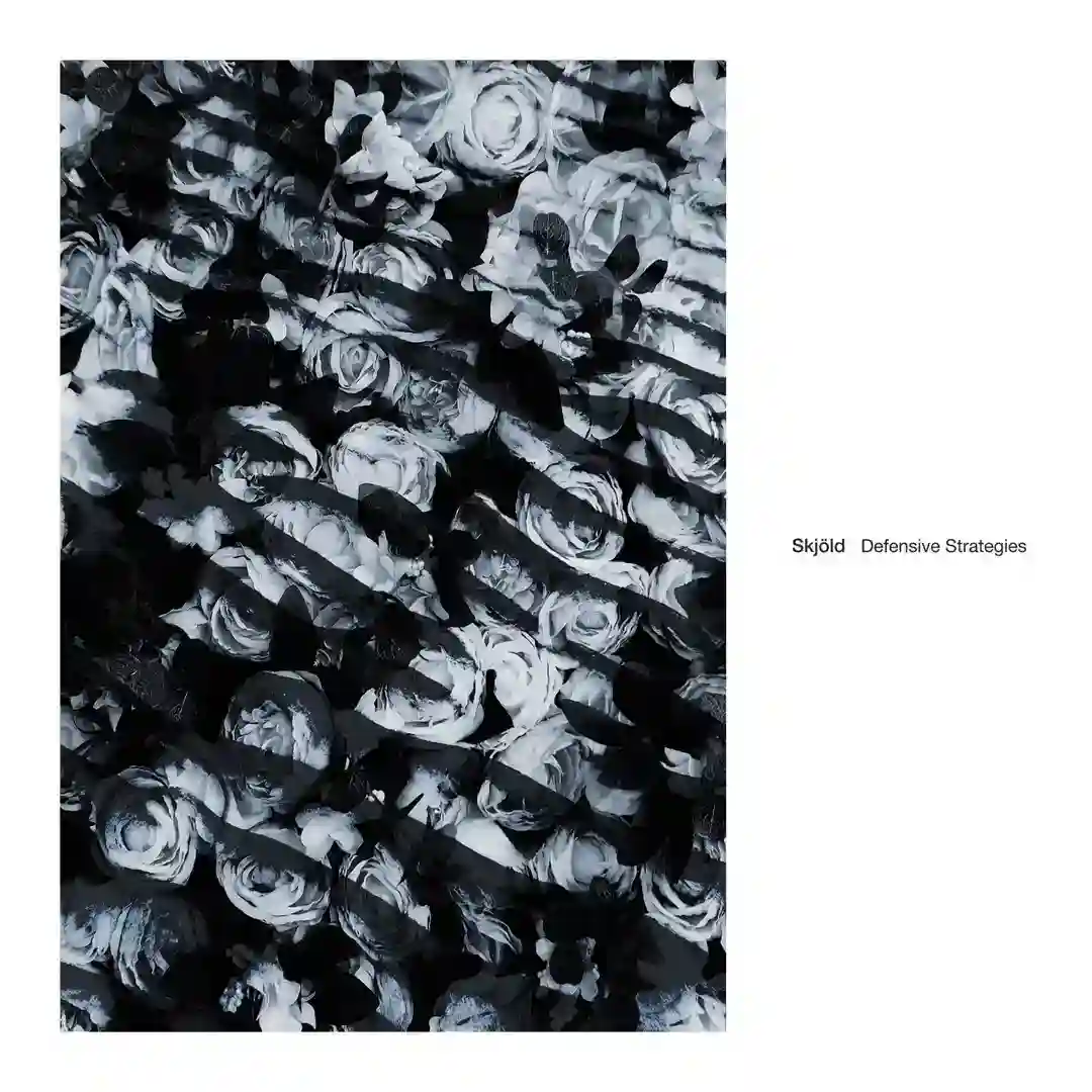 Invariant cover
