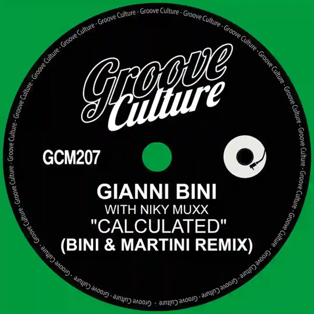 Calculated (Bini & Martini Remix) cover