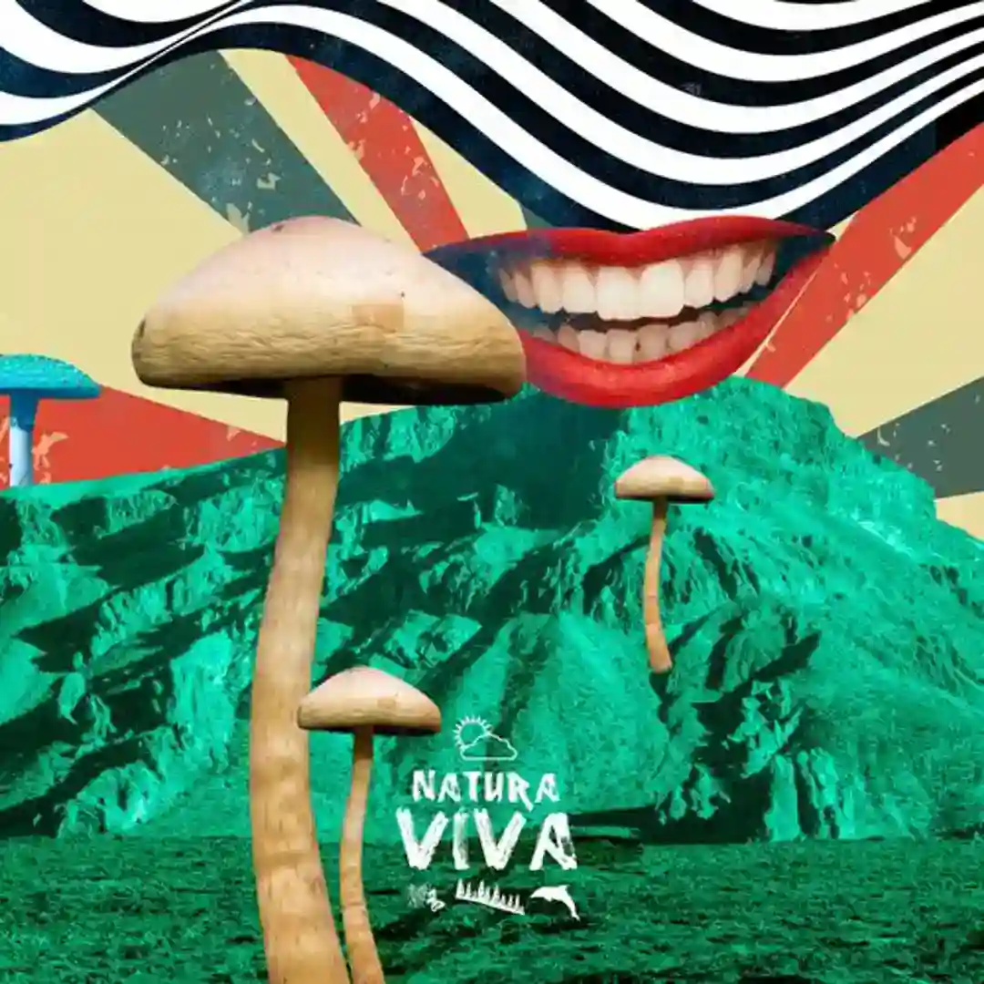 Break the Cage cover
