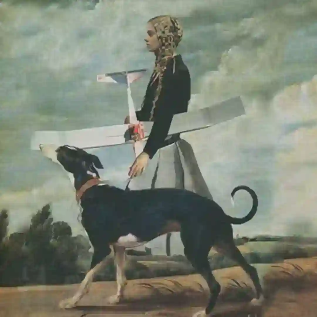 Toz 79 cover