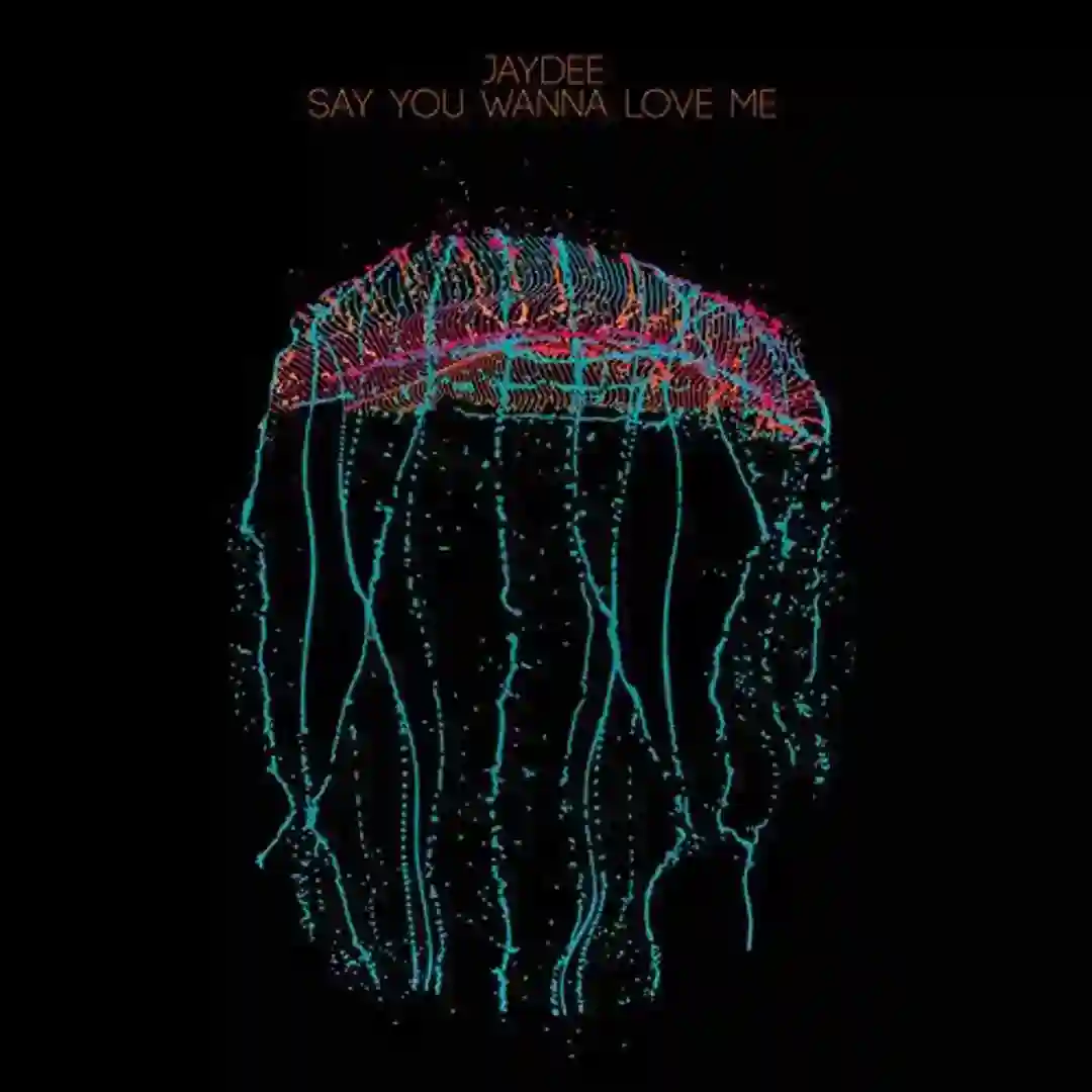 Say You Wanna Love Me (Alexander Koning Remix) cover