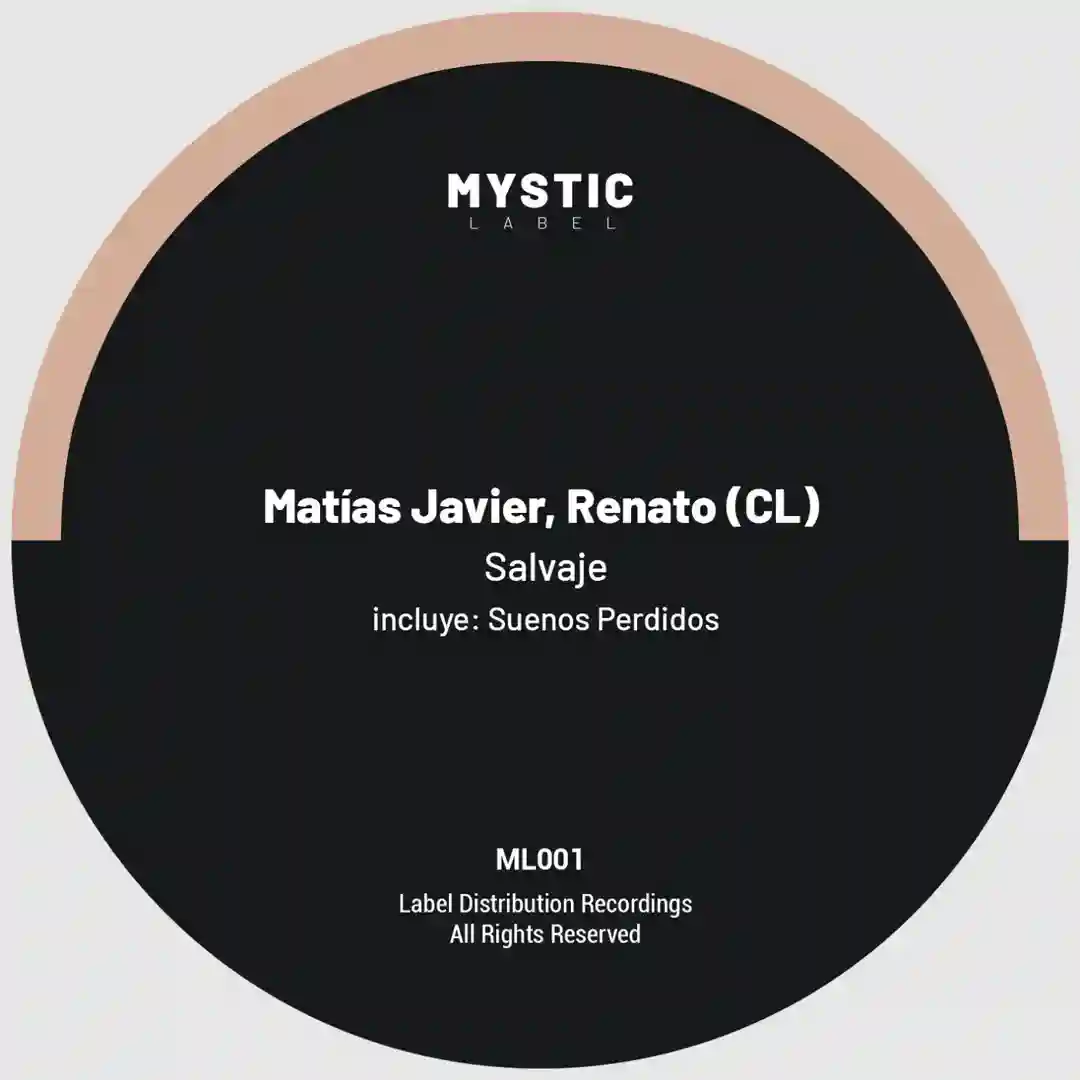 Salvaje (Original Mix) cover