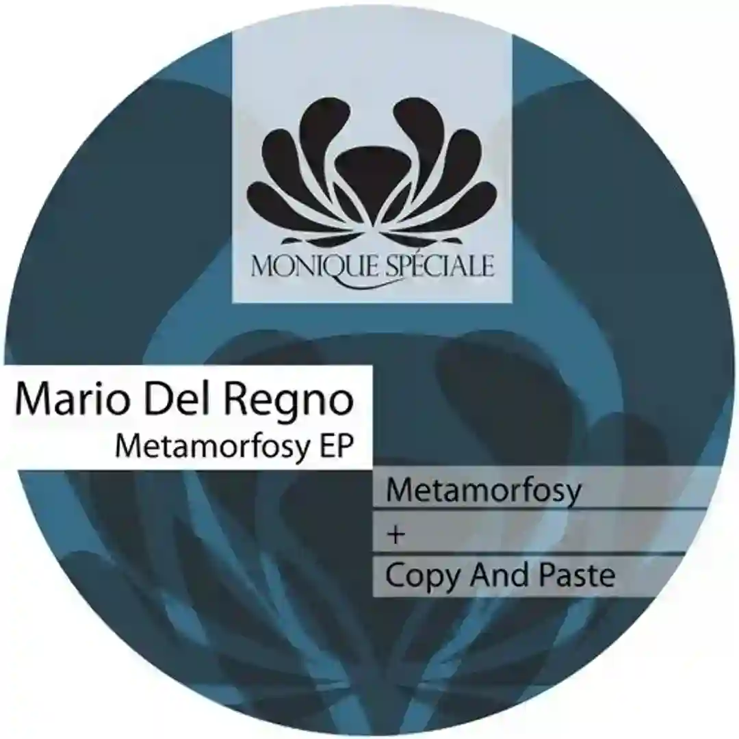 Metamorfosy (Original Mix) cover