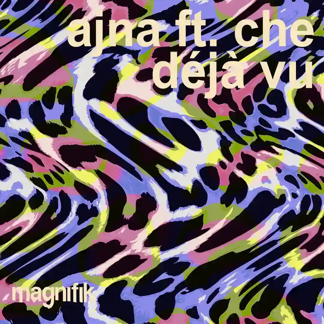 Déjà Vu cover
