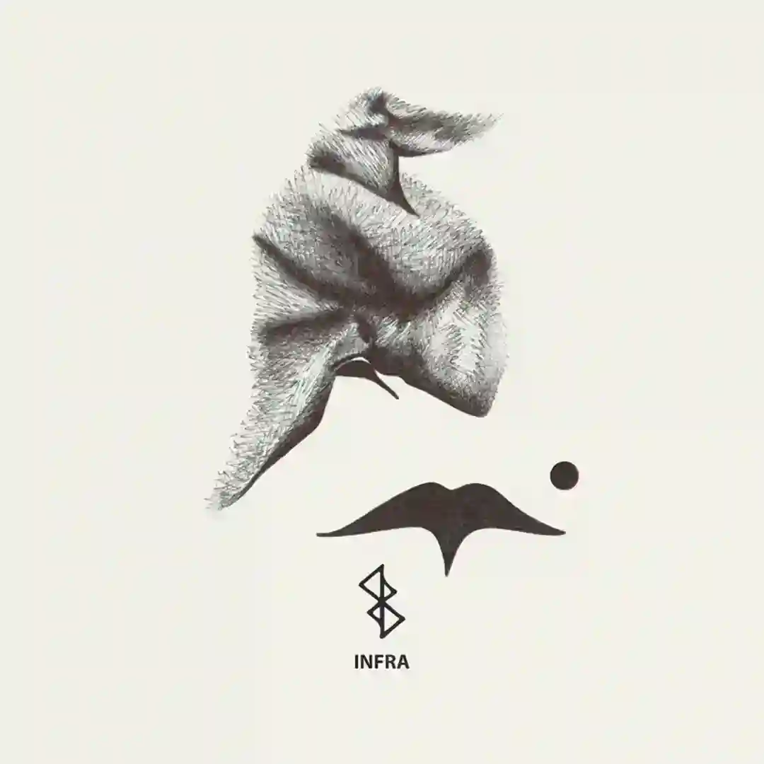 Transitory Notions cover