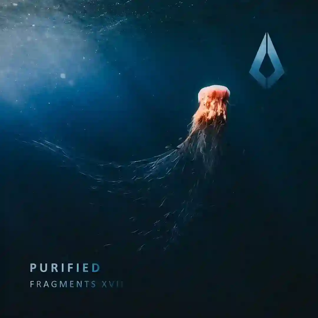 Soulmotion (Extended Mix) cover