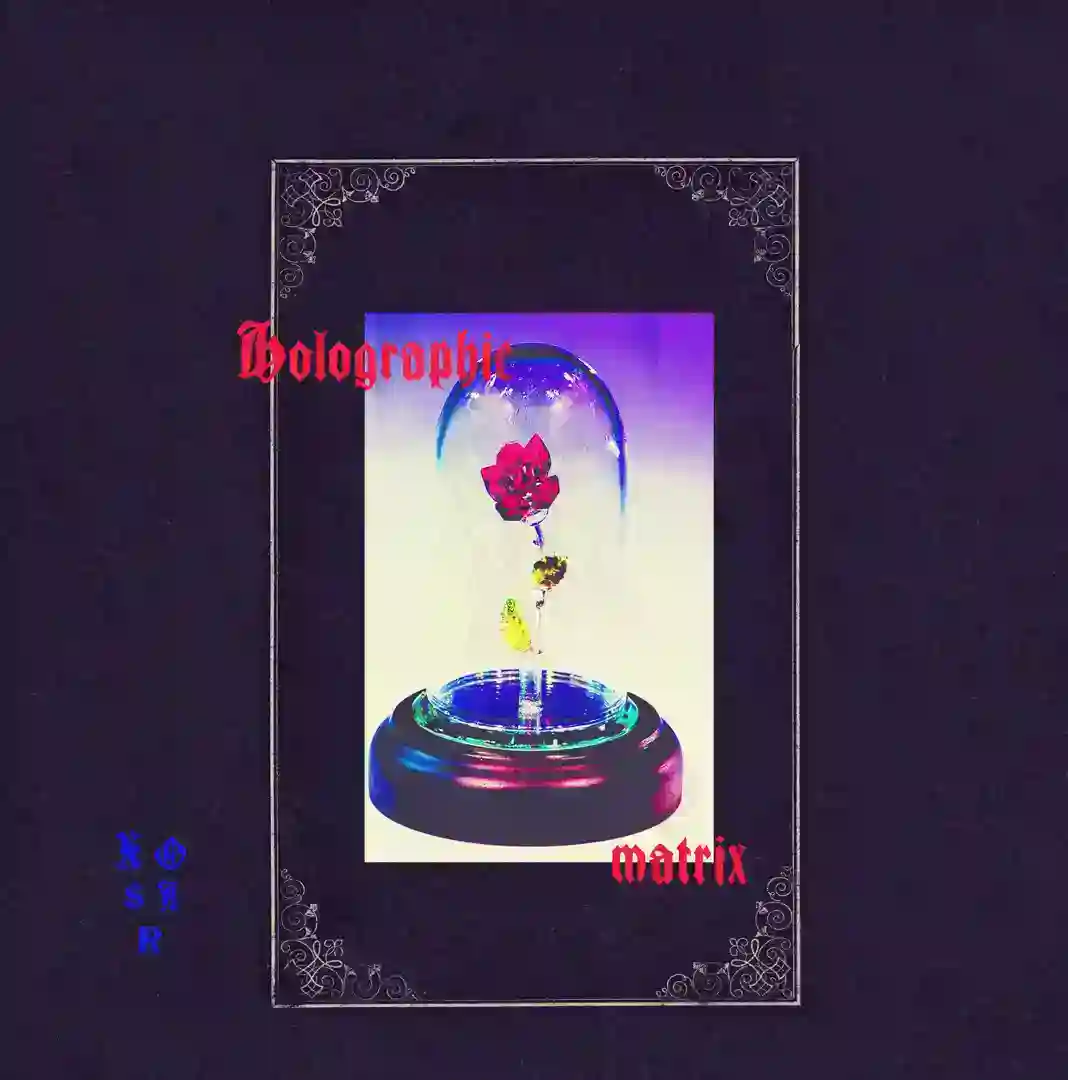 FLESH ACTIVATION cover