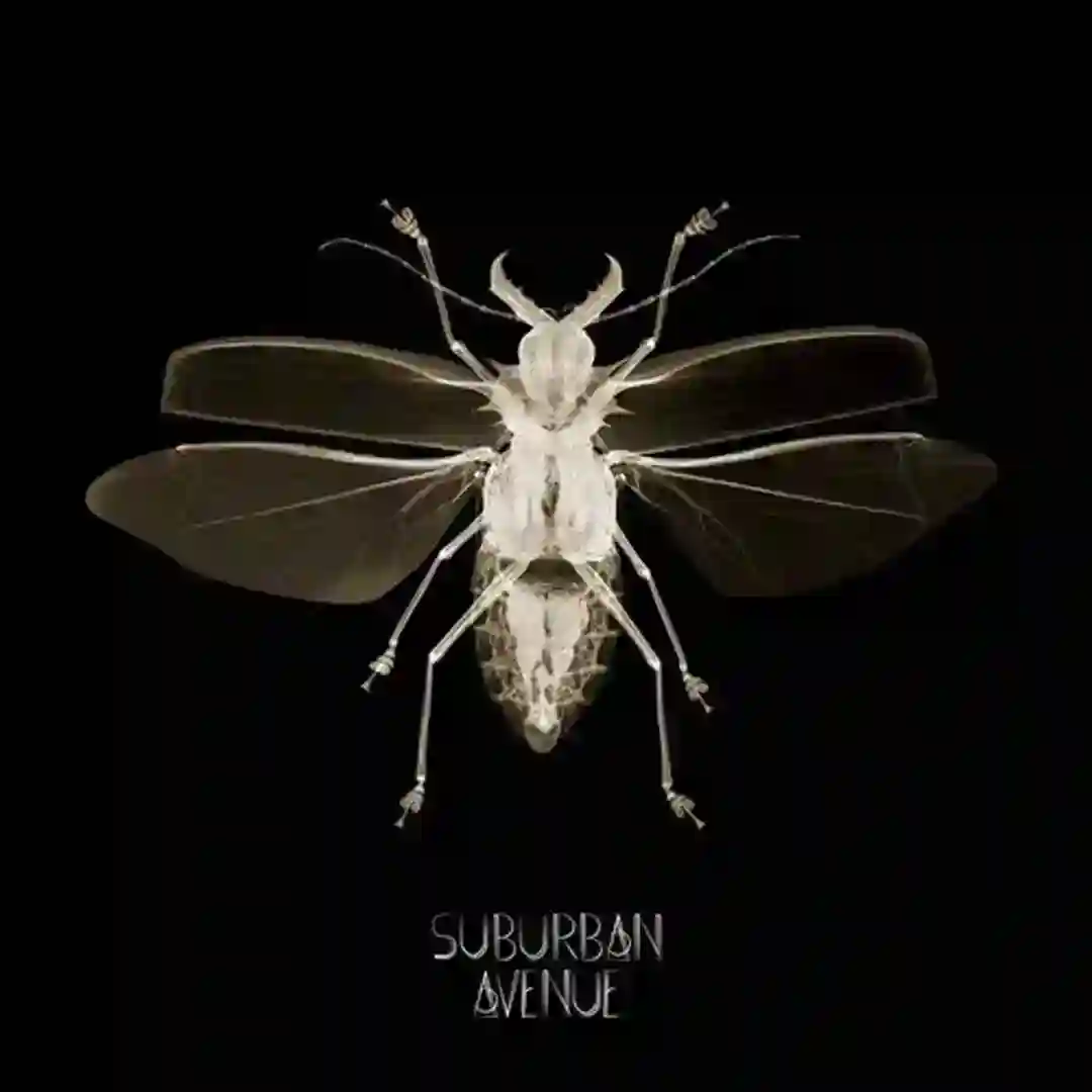 Suburban Avenue 007 cover