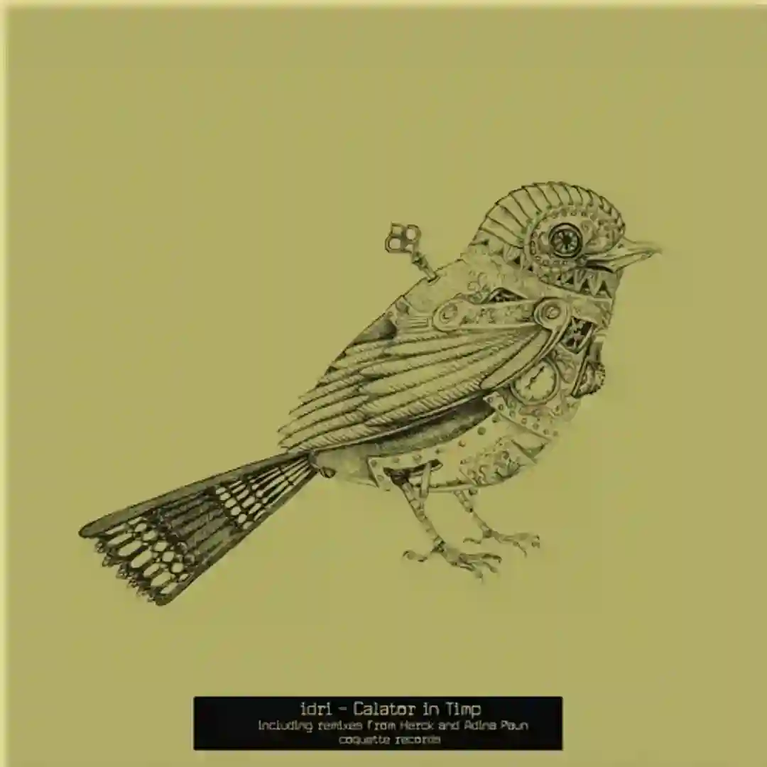 Calator (Original Mix) cover