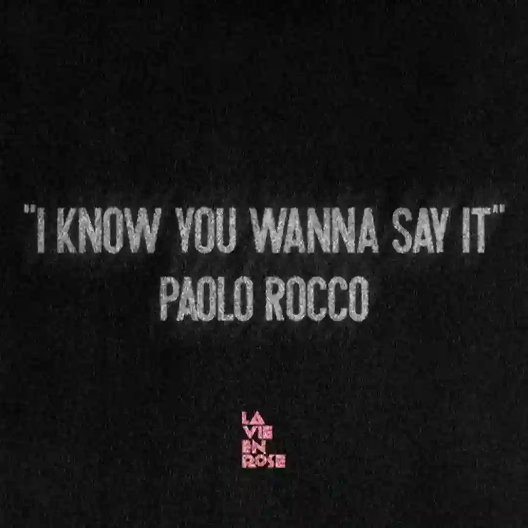 I Know You Wanna Say It cover