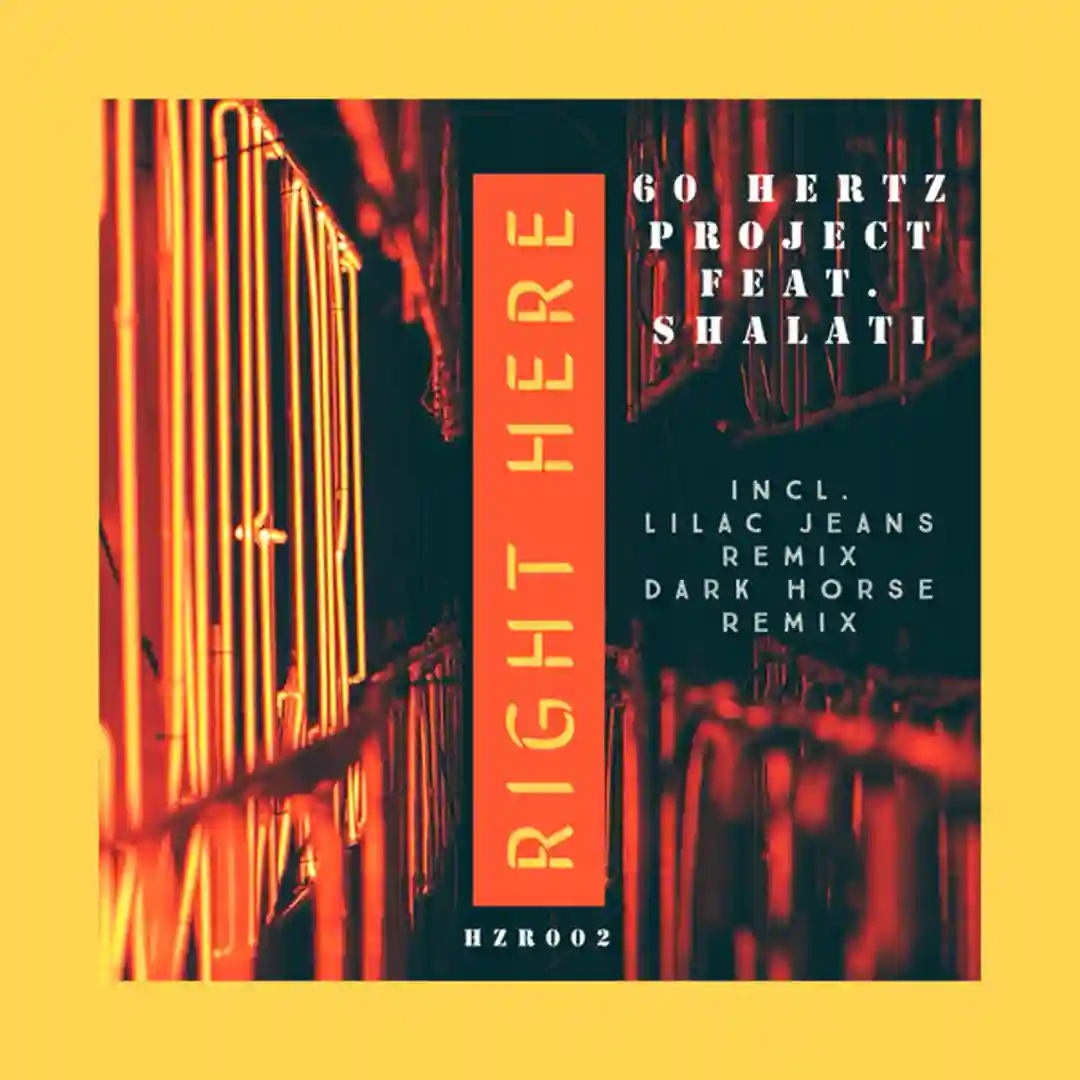 Right Here (Original Mix) cover
