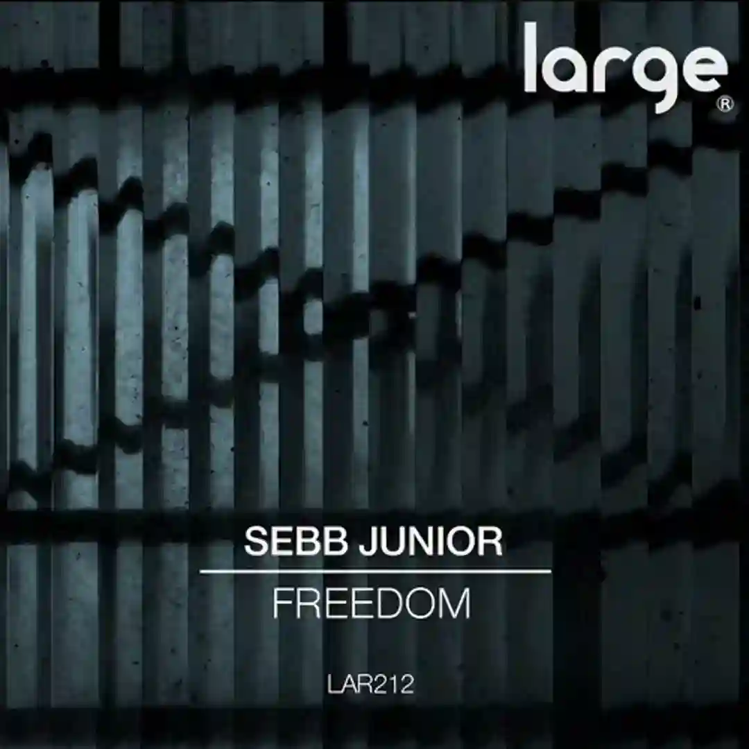 Freedom (Original Mix) cover