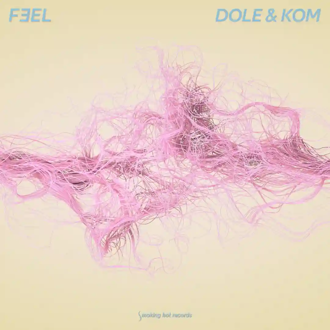 Feel cover
