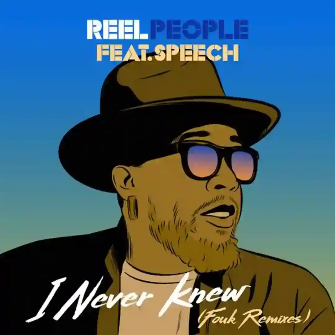 I Never Knew (Fouk Remix) cover