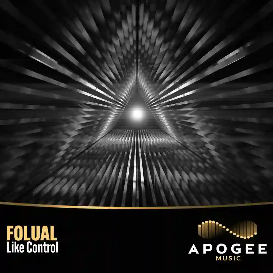 Like Control (Extended Mix) cover