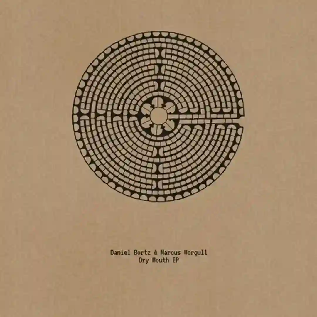 Skinner Box (Original Mix) cover