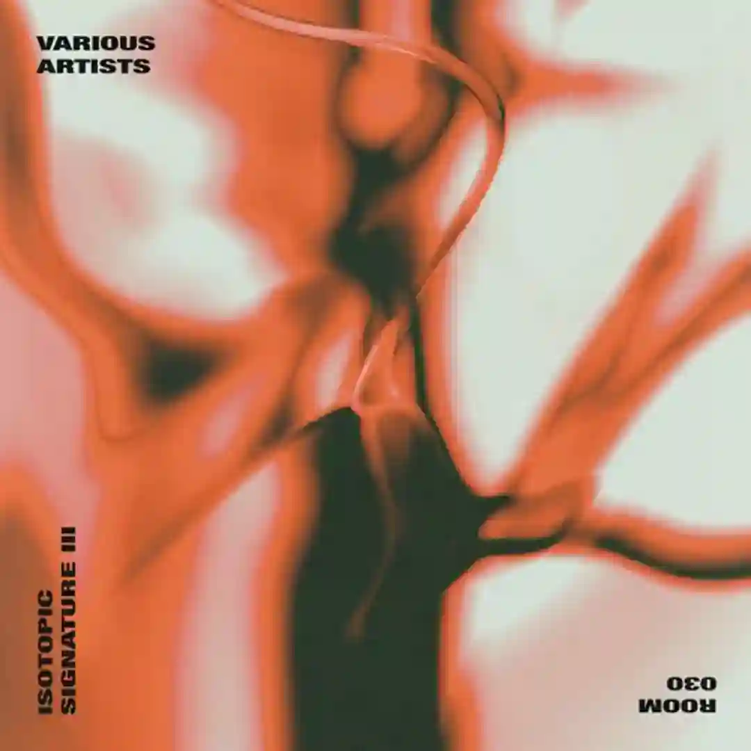 Manettia (Original Mix) cover