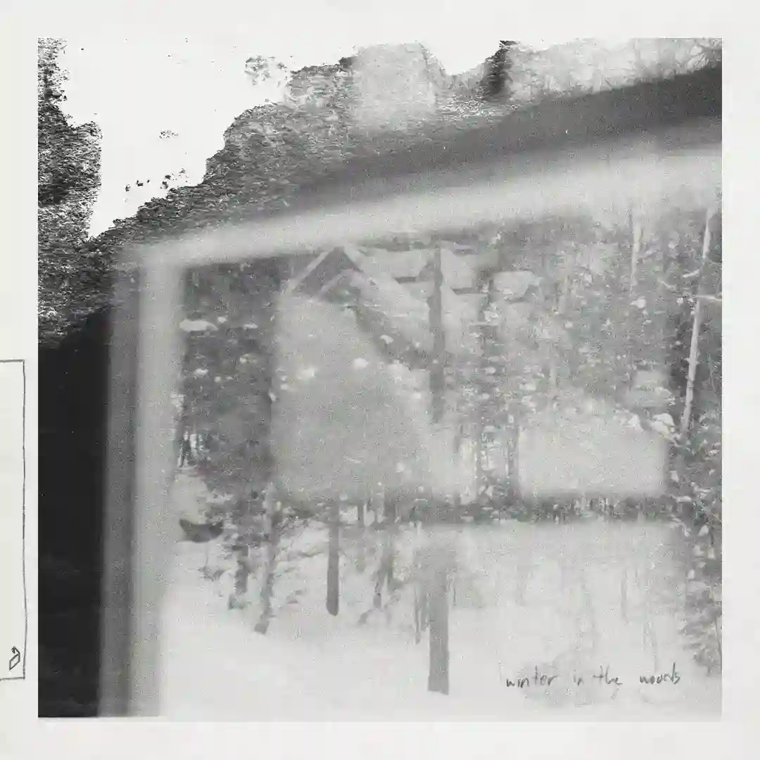 Winter In The Woods cover