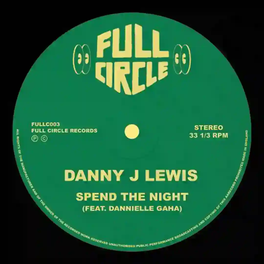 Spend The Night (feat. Dannielle Gaha) (VIP Dub) cover