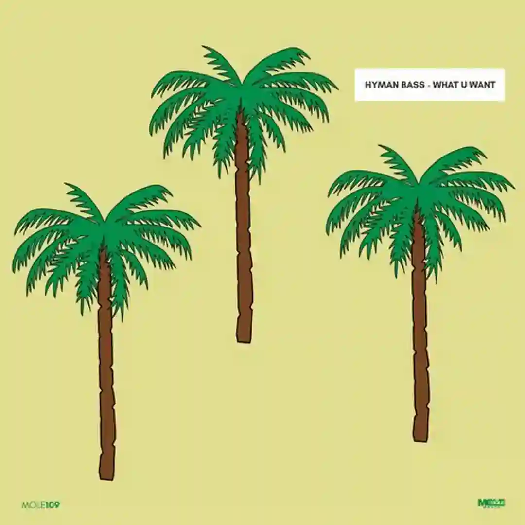 Palm Grove (Original Mix) cover