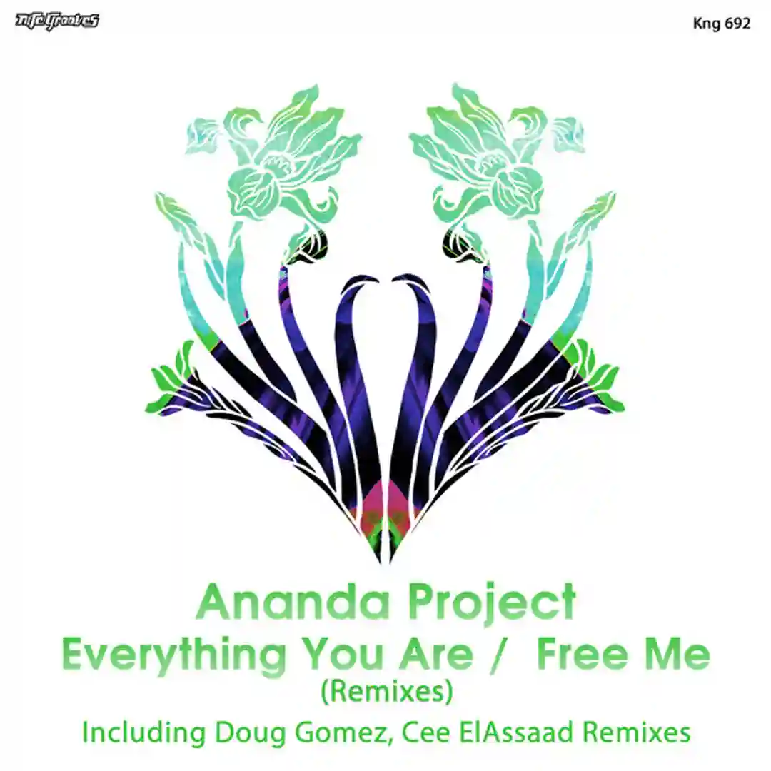 Free Me (Doug Gomez Merecumbe Soul Drumz Mix) cover