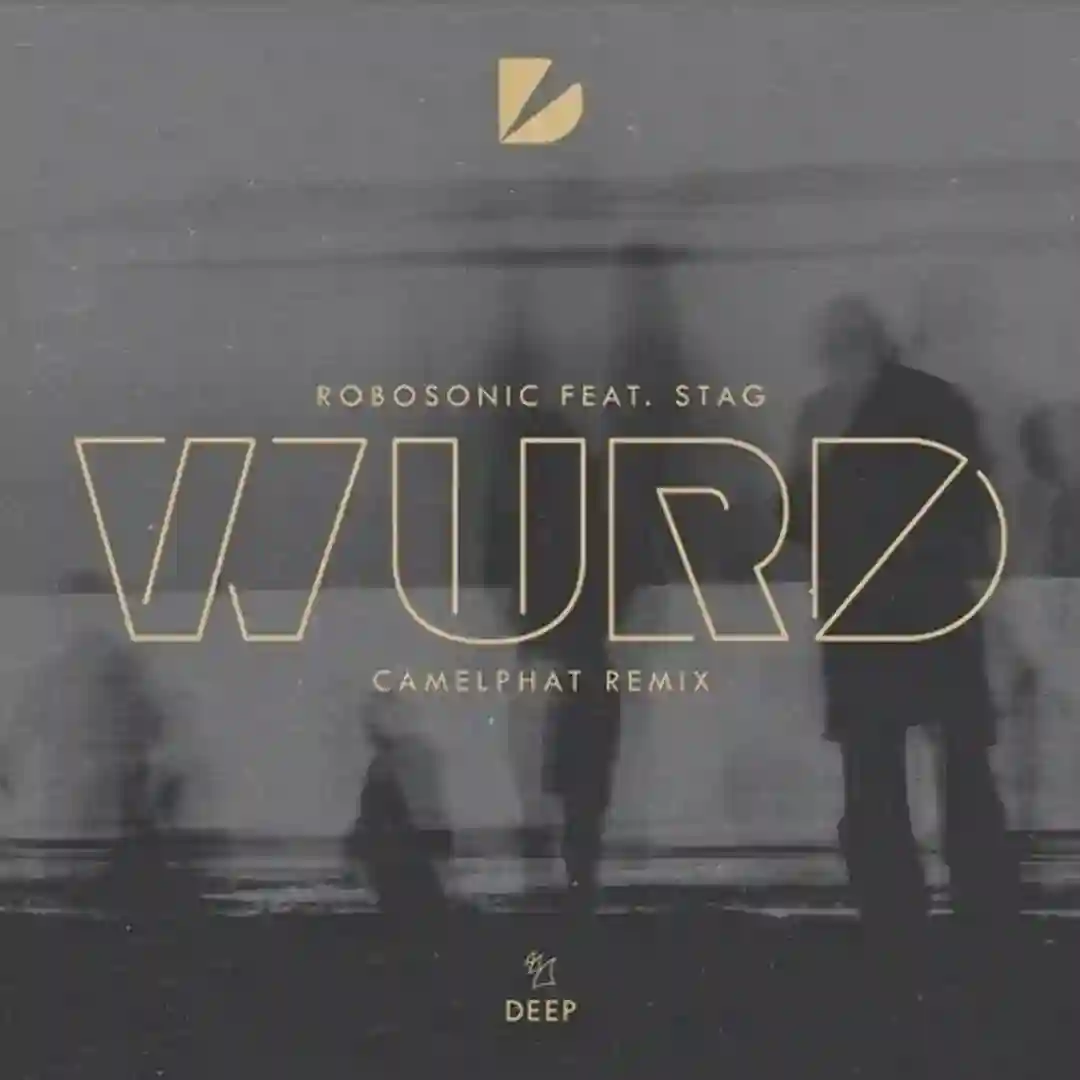 WURD feat. STAG (CamelPhat Extended Remix) cover